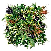 Jardín vertical Filipinas (Plástico, L x An: 100 x 100 cm, 1 ud.) | BAUHAUS