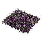 Jardín vertical Lavanda (Plástico, L x An: 100 x 100 cm, 1 ud.) | BAUHAUS