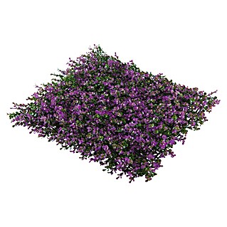 Jardín vertical Lavanda (Plástico, L x An: 100 x 100 cm, 1 ud.)