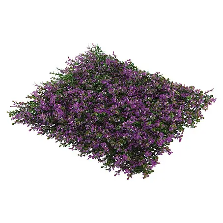 Jardín vertical Lavanda