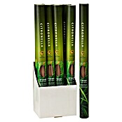Citronella wierookstokjes (20 cm, 8 st.) | BAUHAUS