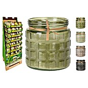 Citronella kaars (Diameter: 11,5 cm, Groen / Beige / Grijs) | BAUHAUS