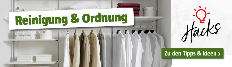 Geordneter Kleiderschrank mit Kleidung