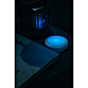 Osram Luz de armario LED Dot-It Twist & Shake (1 luz, 0,5 W, Blanco) | BAUHAUS