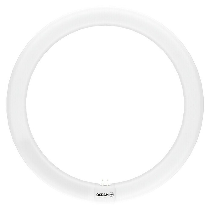 Tubo LED Circular (32 W, 3 cm, Blanco frío, 1.200 lm) | BAUHAUS