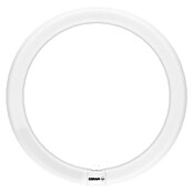 Tubo LED Circular (32 W, 3 cm, Blanco frío, 1.200 lm) | BAUHAUS