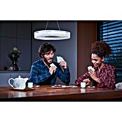 Tubo LED Circular (32 W, 3 cm, Blanco frío, 1.200 lm) | BAUHAUS