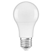Osram Set de bombillas LED (8 W, 806 lm, Blanco frío, E27, 5 ud.) | BAUHAUS