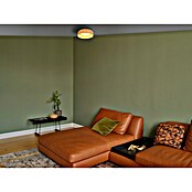 Ledvance Plafón redondo Bambú (12 W, Ø x Al: 50 x 13 cm, Beige) | BAUHAUS