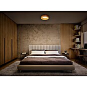 Ledvance Plafón redondo Bambú (12 W, Ø x Al: 50 x 13 cm, Beige) | BAUHAUS