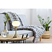 Globo Stolna svjetiljka Lula  (25 W, E14) | BAUHAUS