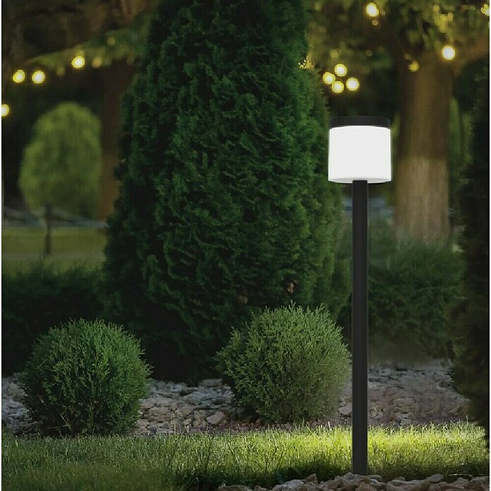 Eglo Estaca solar Pantete (L x An x Al: 17,5 x 17,5 x 115 cm, Negro, 840 lm) | BAUHAUS