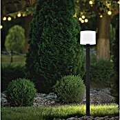 Eglo Estaca solar Pantete (L x An x Al: 17,5 x 17,5 x 115 cm, Negro, 840 lm) | BAUHAUS