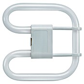 Osram Tubo fluorescente Cuadrado (16 W, G5) | BAUHAUS