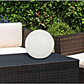 Trio Lighting Lámpara de diseño para exterior Bahamas (Diámetro: 25 cm, IP44) | BAUHAUS