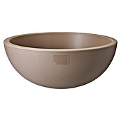 Plantenschaal (Mokka, Ø x h: 40 x 16 cm, Kunststof) | BAUHAUS