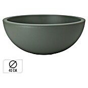 Plantenschaal (Groen, Ø x h: 40 x 16 cm, Kunststof) | BAUHAUS