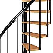 Dolle Spindeltreppe Calgary (Durchmesser: 140 cm, Anthrazit, Farbe Stufen: Buche Natur, Geschosshöhe: 244,8 - 280,8 cm)