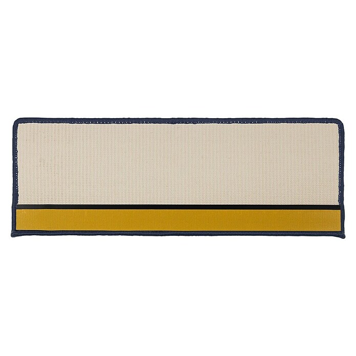 Stufenmatte Sisal (65 x 23,5 cm, Blau, Rechteck) | BAUHAUS