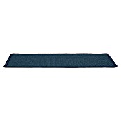 Stufenmatte Sisal (65 x 23,5 cm, 100 % Sisal, Blau) | BAUHAUS