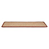 Stufenmatte Sisal (65 x 23,5 cm, 100 % Sisal, Apricot) | BAUHAUS