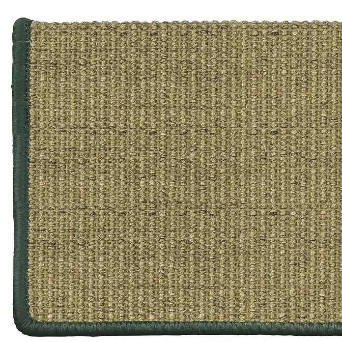 Stufenmatte Sisal (65 x 23,5 cm, Grün, Rechteck) | BAUHAUS
