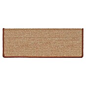 Stufenmatte Sisal (65 x 23,5 cm, Apricot, Rechteck) | BAUHAUS