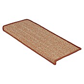 Stufenmatte Sisal (65 x 23,5 cm, Apricot, Rechteck) | BAUHAUS