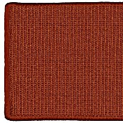 Stufenmatte Sisal (65 x 23,5 cm, 100 % Sisal, Rot) | BAUHAUS