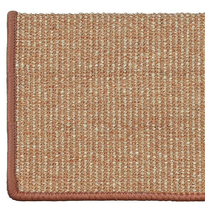 Stufenmatte Sisal (65 x 23,5 cm, Apricot, Rechteck) | BAUHAUS