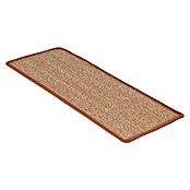 Stufenmatte Sisal (65 x 23,5 cm, 100 % Sisal, Apricot) | BAUHAUS