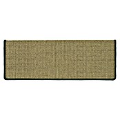 Stufenmatte Sisal (65 x 23,5 cm, Grün, Rechteck) | BAUHAUS