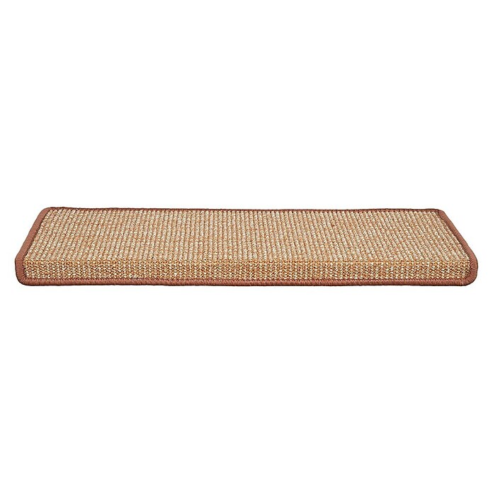 Stufenmatte Sisal (65 x 23,5 cm, Apricot, Rechteck) | BAUHAUS