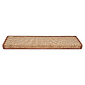 Stufenmatte Sisal (65 x 23,5 cm, Apricot, Rechteck) | BAUHAUS