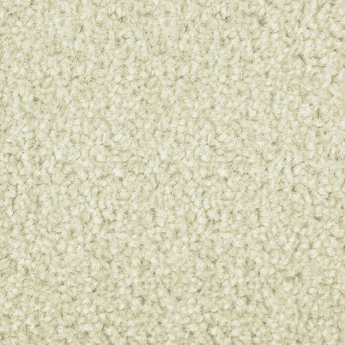 Kurzflorteppich Dynasty (Creme, 400 x 100 cm, 100 % Polypropylen) | BAUHAUS