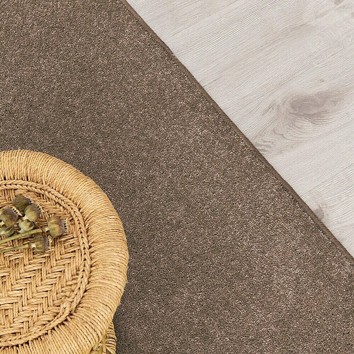 Kurzflorteppich Dynasty (Hellbraun, 300 x 100 cm, 100 % Polypropylen) | BAUHAUS