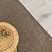 Kurzflorteppich Dynasty (Hellbraun, 300 x 100 cm, 100 % Polypropylen) | BAUHAUS