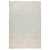 Kurzflorteppich Sundae (Creme, 500 x 66 cm, 100 % Polypropylen) | BAUHAUS