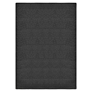 Kurzflorteppich Dynasty (Anthrazit, 200 x 200 cm, 100 % Polypropylen)