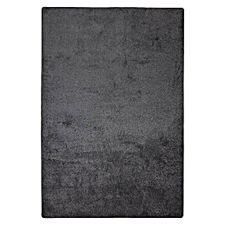 Kurzflorteppich Sundae (Anthrazit, 200 x 200 cm, 100 % Polypropylen)