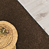 Kurzflorteppich Dynasty (Schlamm, 450 x 200 cm, 100 % Polypropylen) | BAUHAUS