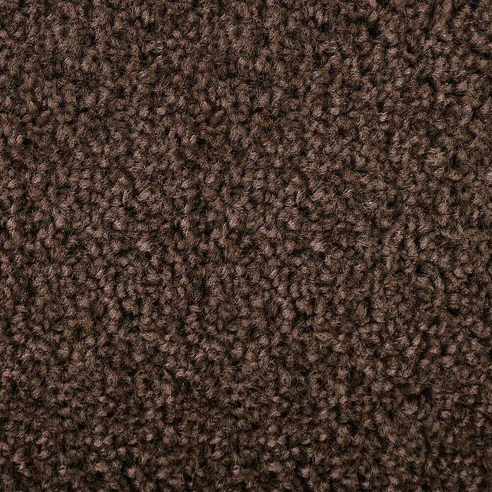 Kurzflorteppich Dynasty (Schlamm, 450 x 200 cm, 100 % Polypropylen) | BAUHAUS