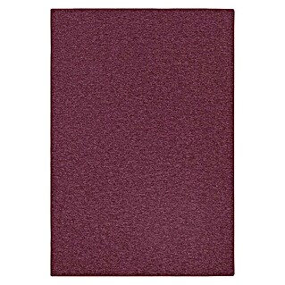 Flachgewebeteppich London (Weinrot, 200 x 200 cm, 100 % Polypropylen)