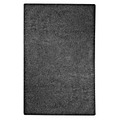 Kurzflorteppich Lyon (Schwarz, 200 x 150 cm, 100 % Polypropylen) | BAUHAUS