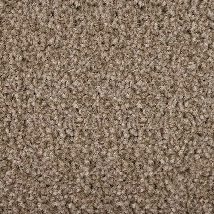 Kurzflorteppich Dynasty (Hellbraun, 300 x 100 cm, 100 % Polypropylen) | BAUHAUS