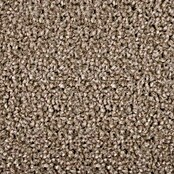 Kurzflorteppich Dynasty (Hellbraun, 300 x 100 cm, 100 % Polypropylen) | BAUHAUS