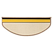 Stufenmatte Premium (65 cm x 23,5 cm x 8 mm, Pola) | BAUHAUS