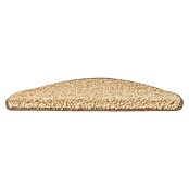 Stufenmatte Shaggy (65 x 23,5 cm, Beige, Halbrund) | BAUHAUS