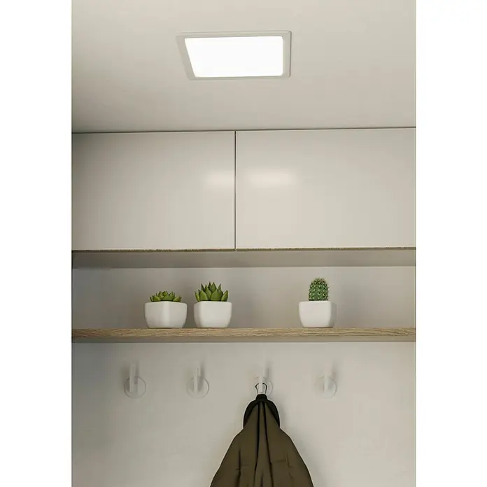 Eglo Fueva 5 Downlight LED empotrable - 16,5 W, L x An x Al: 21,6 x 21,6 x 2,6 cm, Blanco neutro - Una imagen minimalista de un estante blanco con cactus, combinado con una luz de techo brillante para una estética sencilla.