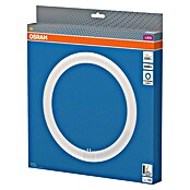 Tubo LED Circular (32 W, 3 cm, Blanco frío, 1.200 lm) | BAUHAUS